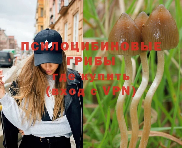 мескалин Наволоки