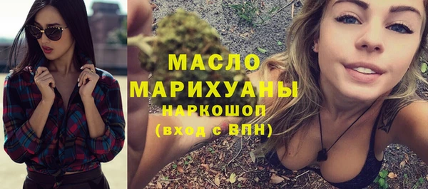 твердый Надым