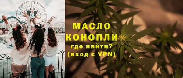 твердый Надым