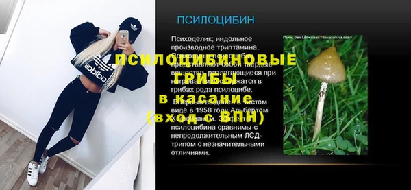 твердый Надым