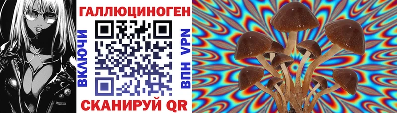 блэк спрут как войти  Сычёвка  Галлюциногенные грибы Magic Shrooms  продажа наркотиков 