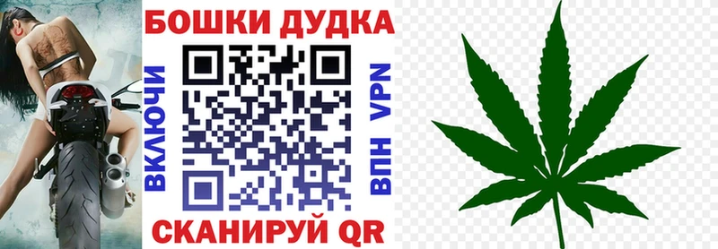 закладка  Сычёвка  Конопля Ganja 